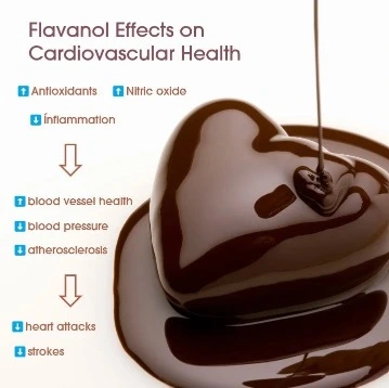benefits of dark chocolate on heart